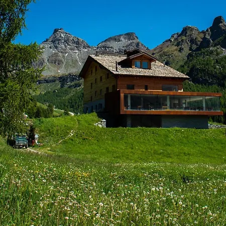 Crest Alpine &